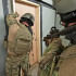  Колір: Multicam