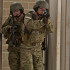  Колір: Multicam