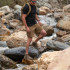 Шорти тактичні 5.11® Trail 9.5" Short ABR