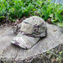  Колір: Multicam