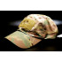 Бейсболка Helikon-Tex® BBC Cap - PolyCotton Ripstop