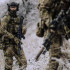  Колір: Multicam