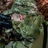  Колір: Flecktarn