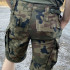 Шорти Texar® WZ10 Shorts